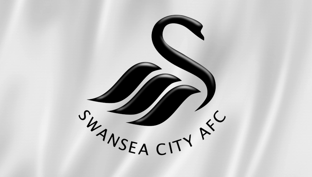 Swansea City flag